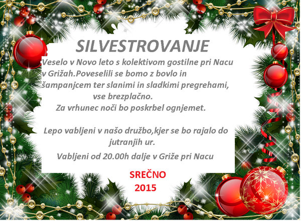 Silvestrovanje 2014